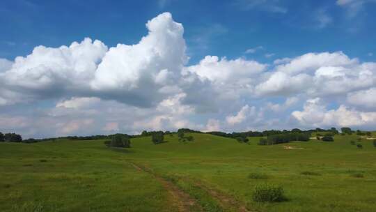 草原树木与蓝天白云风景