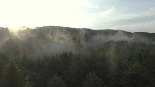 高处日出时被薄雾覆盖的森林