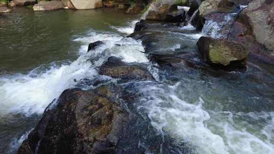 山间小溪水河流水树木枝叶视频