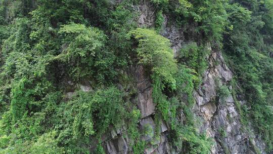 四川什邡蓥华山、蓥华大峡谷