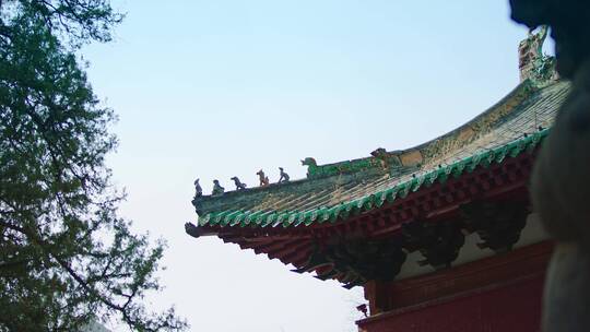 古建筑寺庙屋檐飞鸟视频素材模板下载