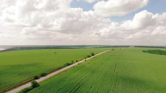 4k航拍夏天绿色的农田与公路宫崎骏画面