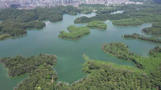 深圳龙华茜坑水库