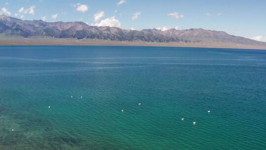 中国新疆赛里木湖夏季风景