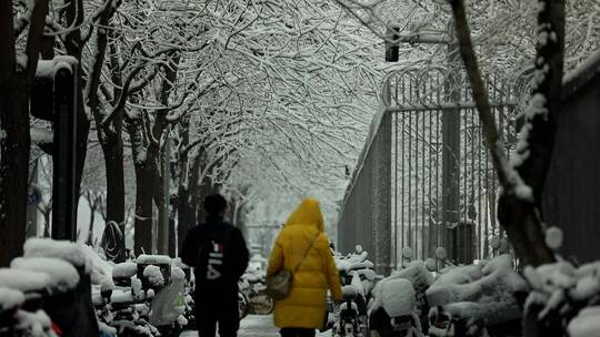 北京雪景