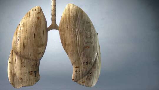医疗科技肺器官三维动画视频