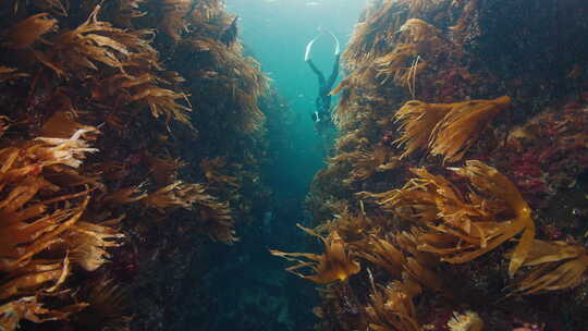 深海潜水