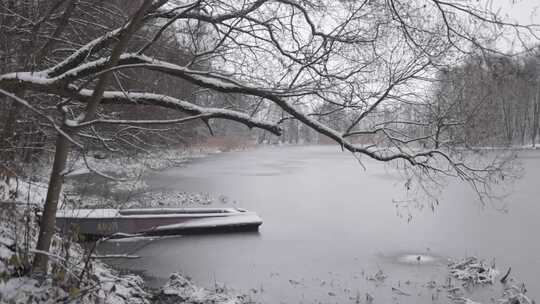 冬季森林树枝雪景