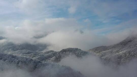 森林-航拍森林-大自然森林云雾-云海雪景