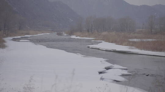 带树影的冬季冰雪河谷溪流全景4k0帧灰片