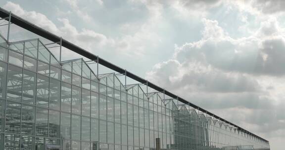 大气震撼温室蔬菜玻璃大棚建设高新农业延时