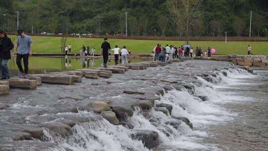 相机高清摄柏临河湿地公园南岸11