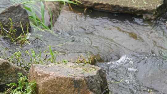 小溪流水石头