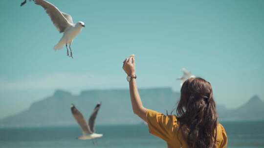 女人在海边和海鸥的背影