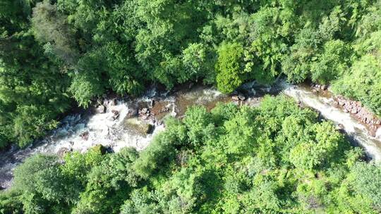 森林高山溪水河流树林雨林岩石湖泊航拍素材