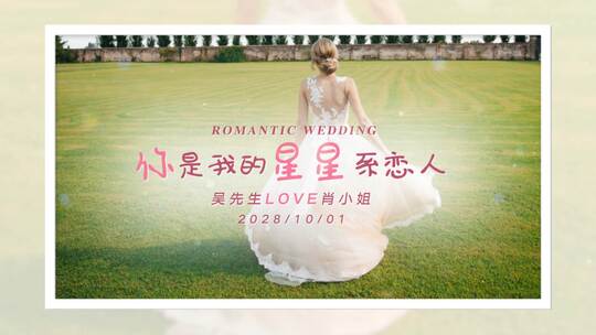 你是我的星星系恋人-婚礼VLOG