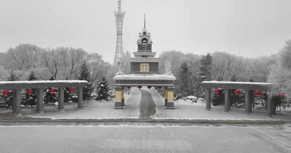 冰雪覆盖树木的冬季雪景航拍画面