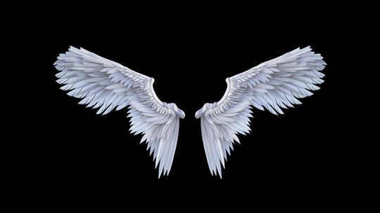 天使翅膀循环