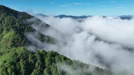 安徽六安大别山云层之上4k航拍原始视频