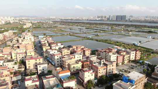 4K航拍广东佛山岭南水乡