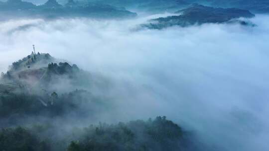 自然风光大山森林云海晨雾