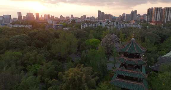 成都望江楼公园航拍美丽日落晚霞春天风景