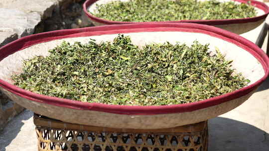 茶叶晾晒阴干茶叶制作古法制作