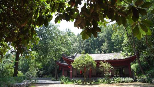 杭州三天竺三生石风景