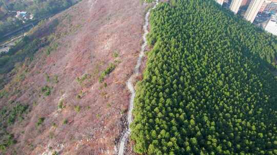 山东济南蝎子山绿色红色秋天风光景色航拍