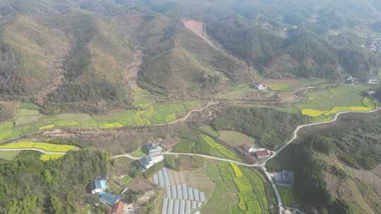 乡村田园农业种植油菜花农田航拍