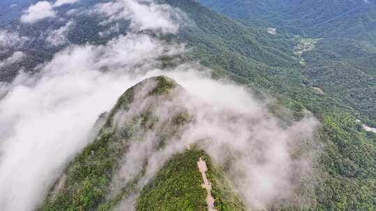 海南乐东尖峰岭国家森林公园云海日出