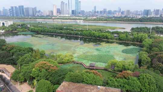 航拍长沙橘子洲头湘江两岸江景城市天际线