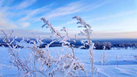 银色呼伦贝尔雾凇雪景