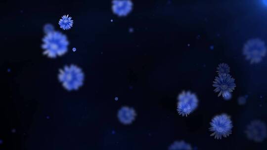 蓝色菊花花瓣飘飞LED唯美背景演绎视频视频素材模板下载