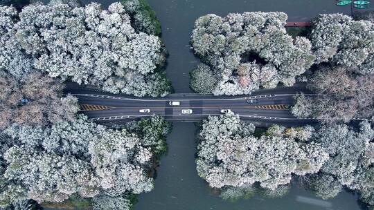 杭州西湖雪景 杨公堤隐秀桥视频素材模板下载