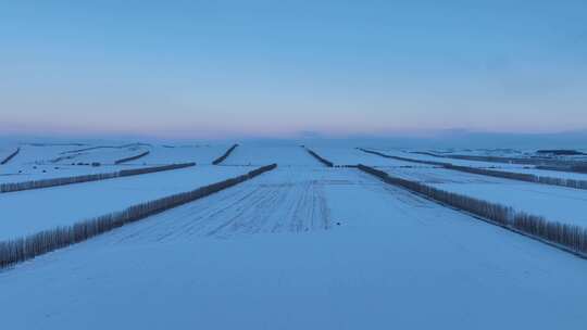 北方冬天农田雪景