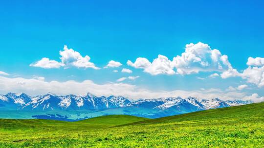 草原牛羊-雪山河流