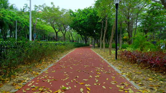 林间小路 林荫小路 满地 落叶 秋天