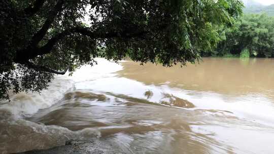连续强降雨上涨的河水 洪峰 洪水