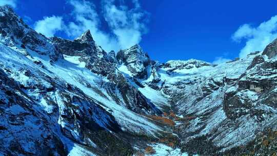 雪山下多彩树林与湖泊相映的美景