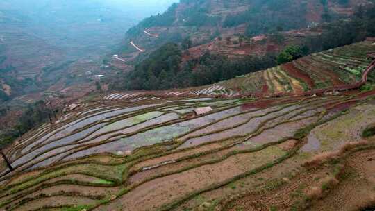 山间梯田俯瞰全景