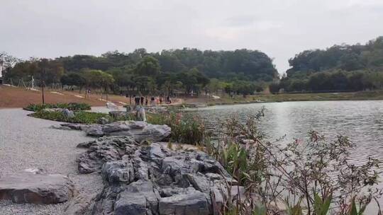 东莞企石东清湖湿地公园