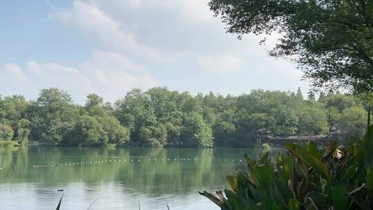 4k西湖水面风景