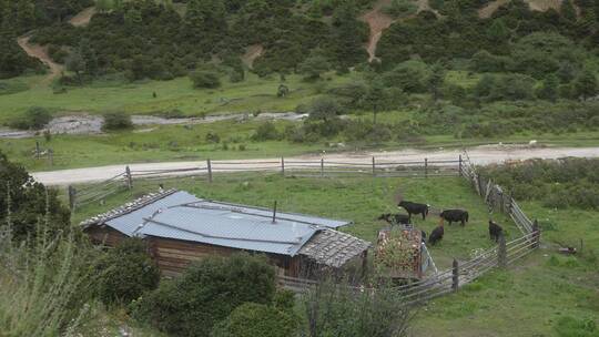 香格里拉牧场农场风光风景