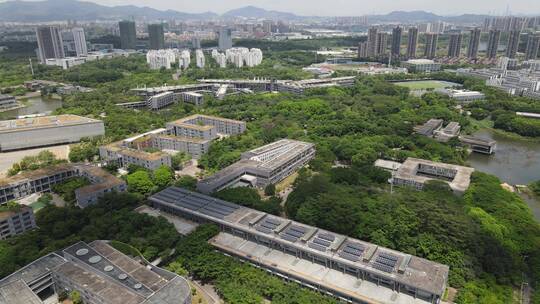 东莞理工学院 本科 理工科