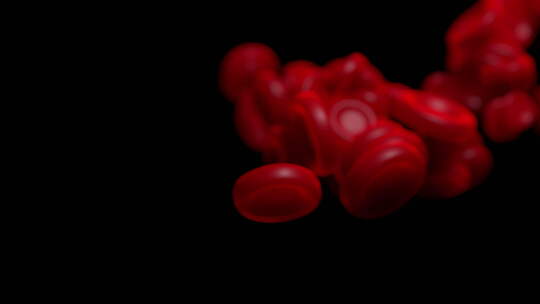 血液细胞在活动的三维动画