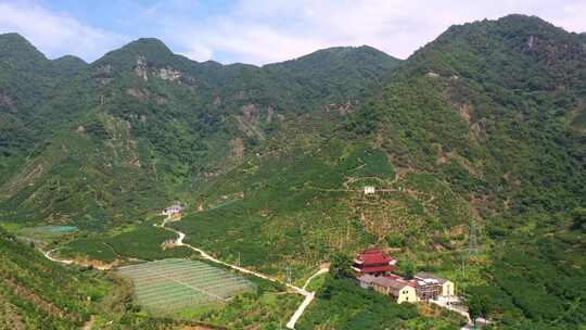 大山航拍 涌泉蜜桔4k素材