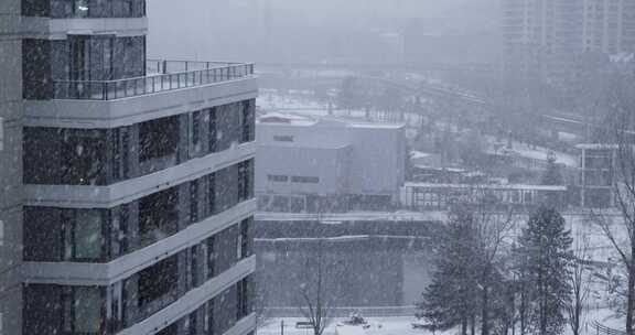 降雪，建筑物，温哥华，大都会