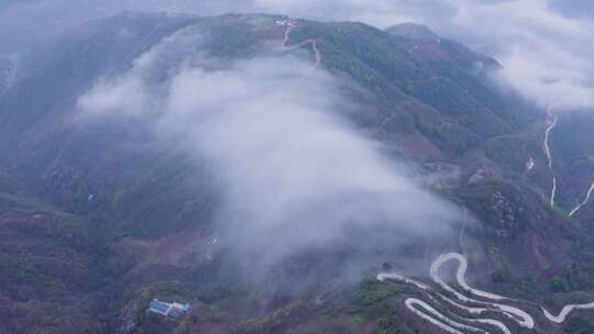 镇安海棠山