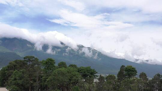 云南大理苍山森林高清航拍素材